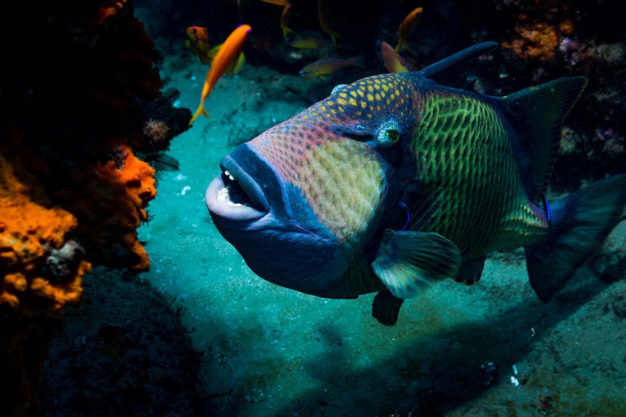 Sodwana Bay Lodge Dive & Fishing Resort Екстериор снимка