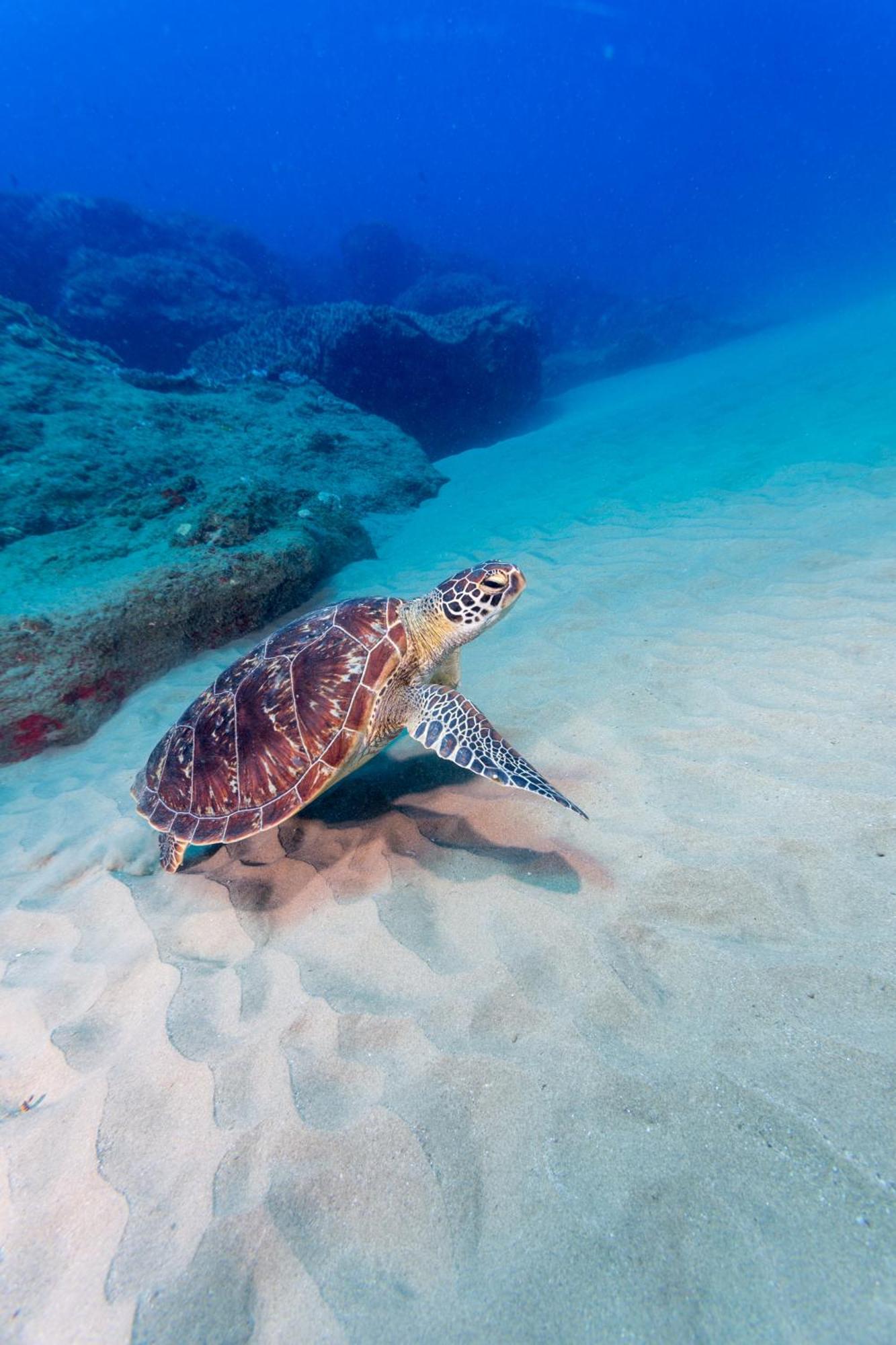Sodwana Bay Lodge Dive & Fishing Resort Екстериор снимка