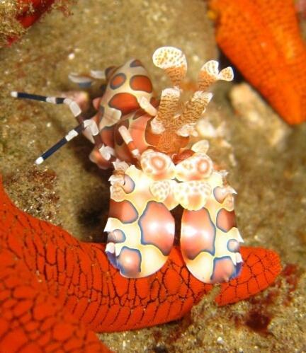 Sodwana Bay Lodge Dive & Fishing Resort Екстериор снимка