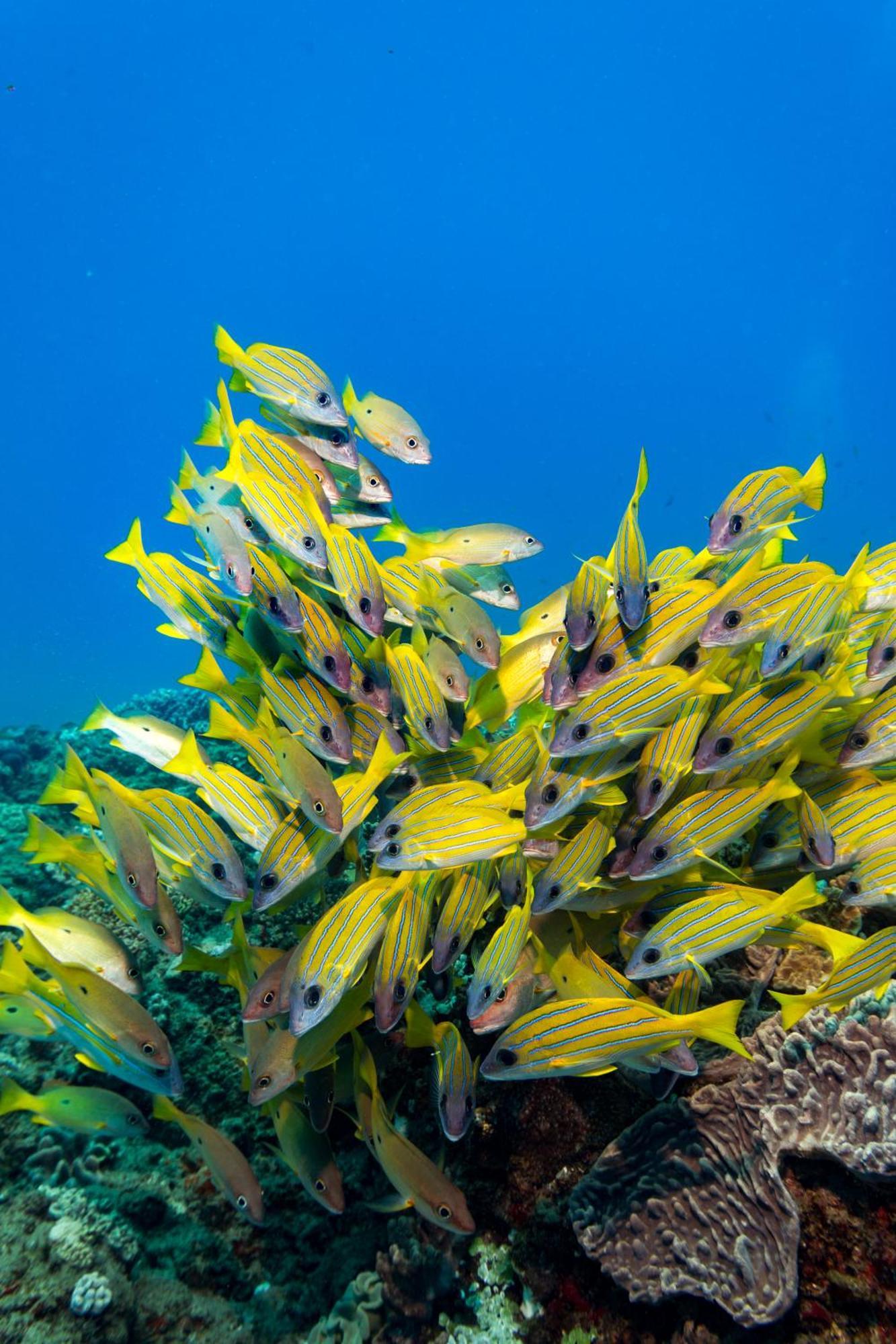 Sodwana Bay Lodge Dive & Fishing Resort Екстериор снимка