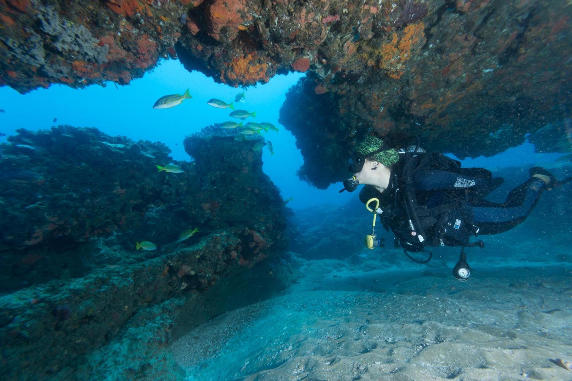 Sodwana Bay Lodge Dive & Fishing Resort Екстериор снимка