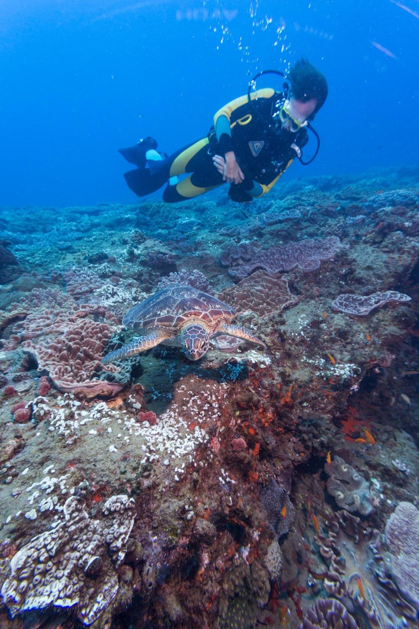 Sodwana Bay Lodge Dive & Fishing Resort Екстериор снимка